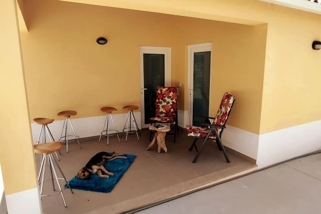 Kyrios Arts Atelier With Car And Private Swimming Pool Carrascal (Leiria)