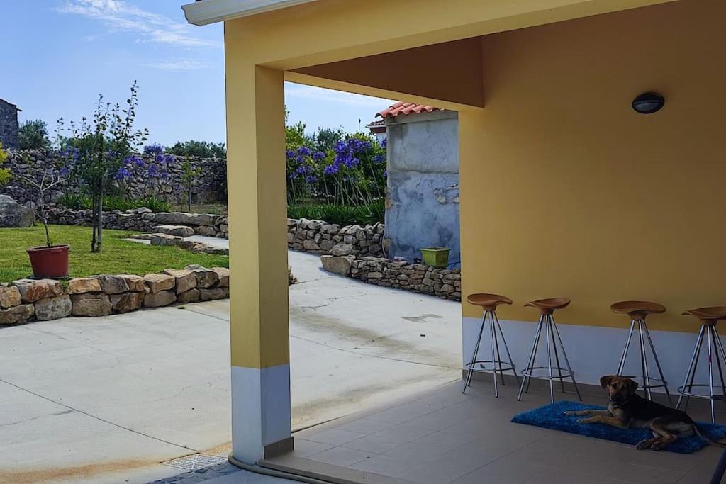 Kyrios Arts Atelier With Car And Private Swimming Pool Apartment
