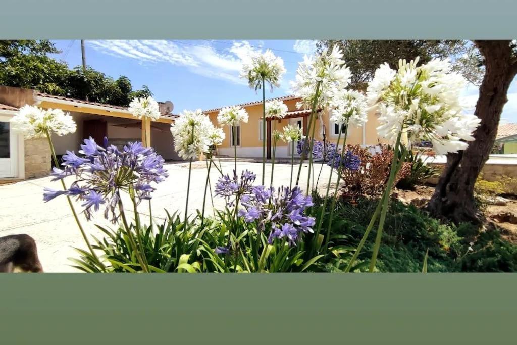 Kyrios Arts Atelier With Car And Private Swimming Pool *