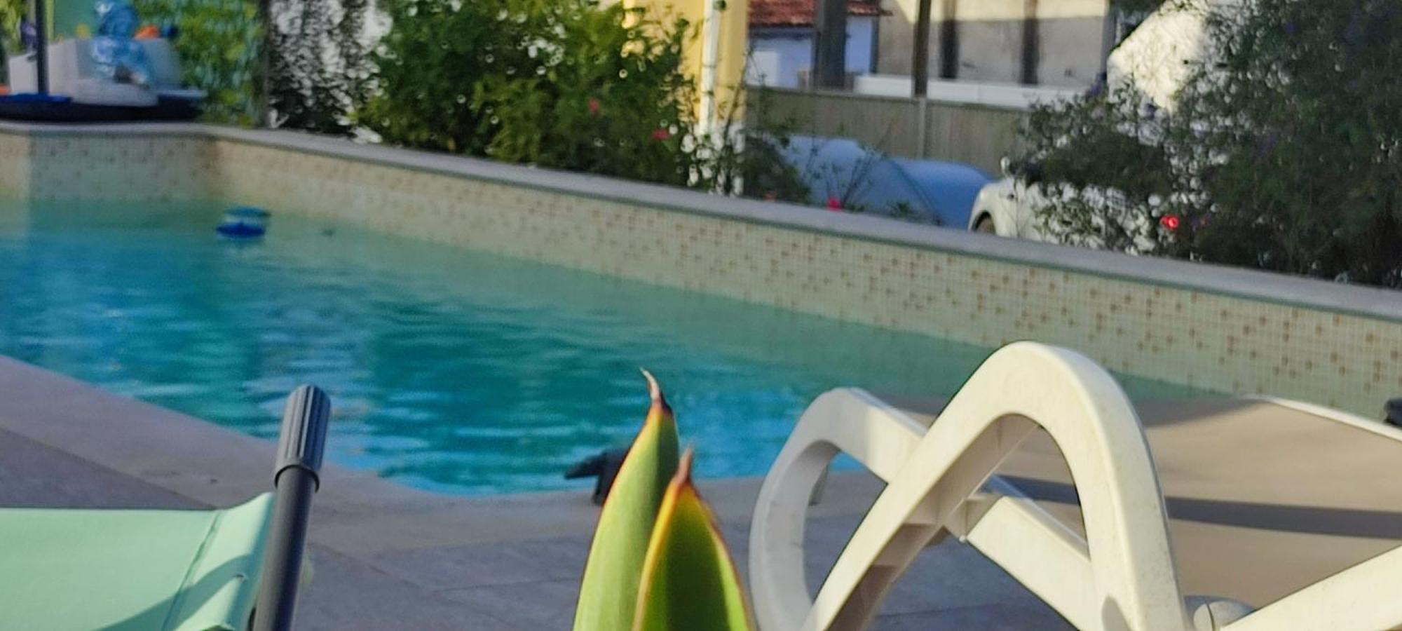 Kyrios Arts Atelier With Use Of Private Swimming Pool Carrascal (Leiria)